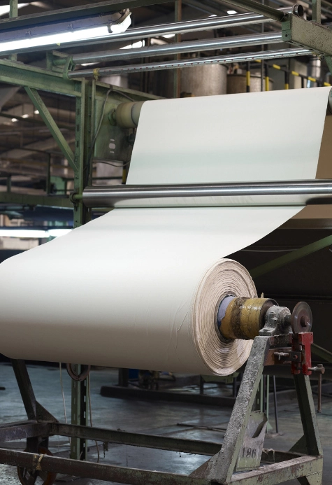 Forecast of The Three Major Trends In China's Paper Industry In 2025